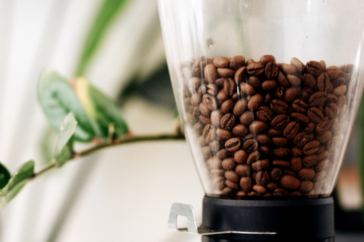 grind coffee beans