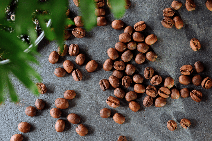 Espresso Fresh Beans